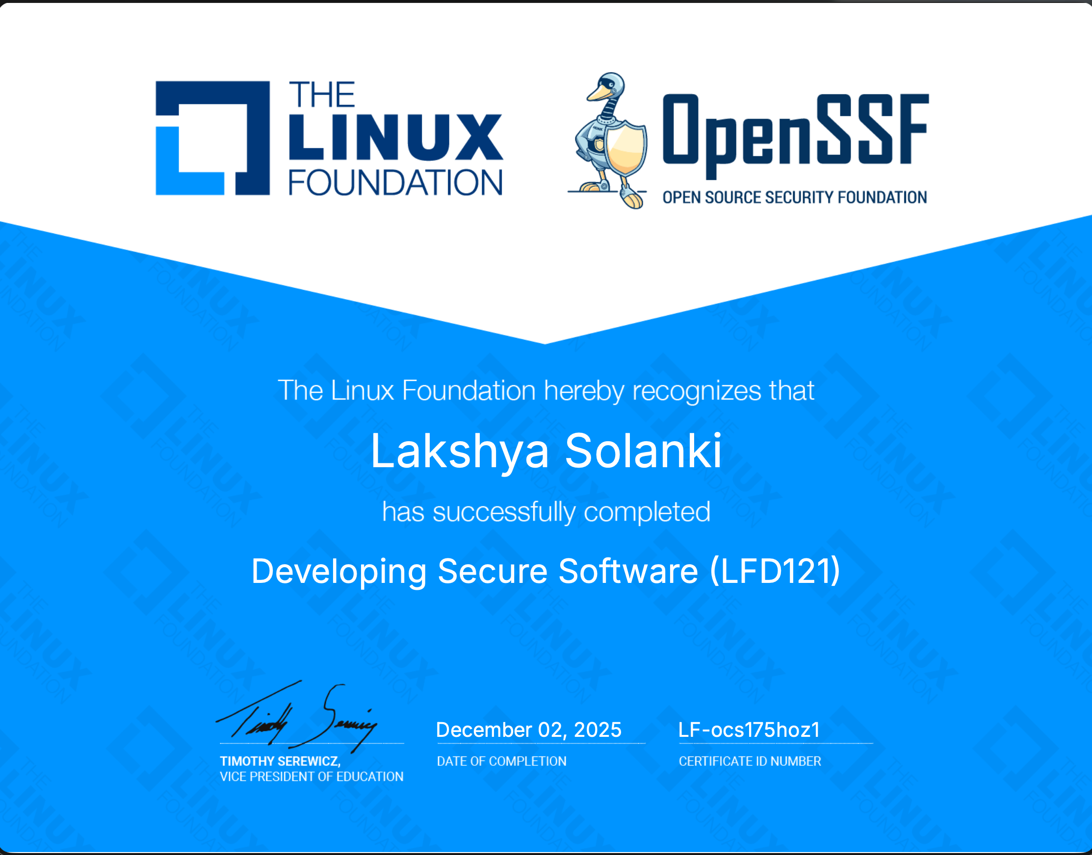 Developing Secure Software